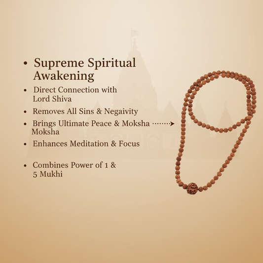 1 Mukhi in 5 Mukhi Mala Benefits