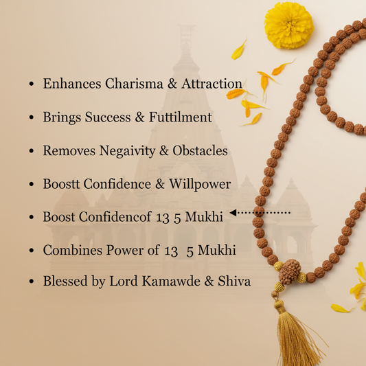 13 Mukhi in 5 Mukhi Mala Benefits
