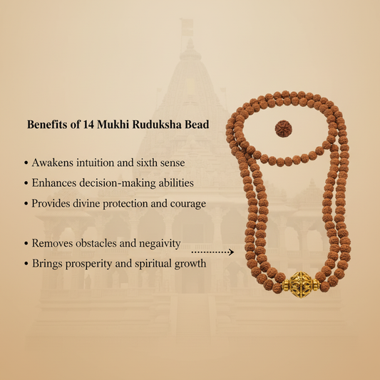 14 Mukhi Rudraksha Mala Benefits