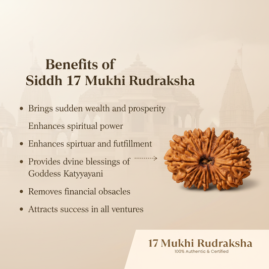 17 Mukhi Rudraksha Benefits