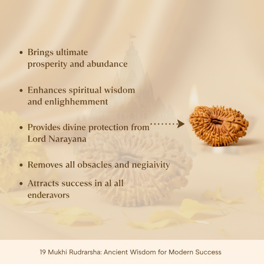 19 Mukhi Rudraksha Benefits