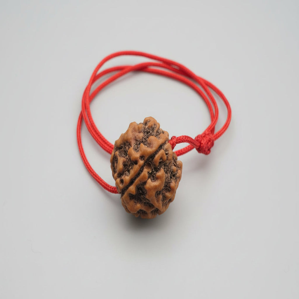 4 Mukhi Rudraksha Mala (Laal Dhaga)