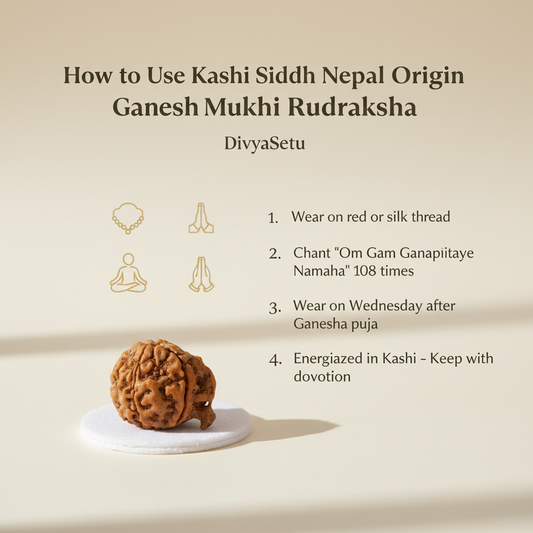 Ganesh Mukhi Rudraksha Usage Instructions