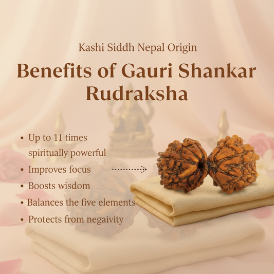 Gauri Shankar Rudraksha Benefits
