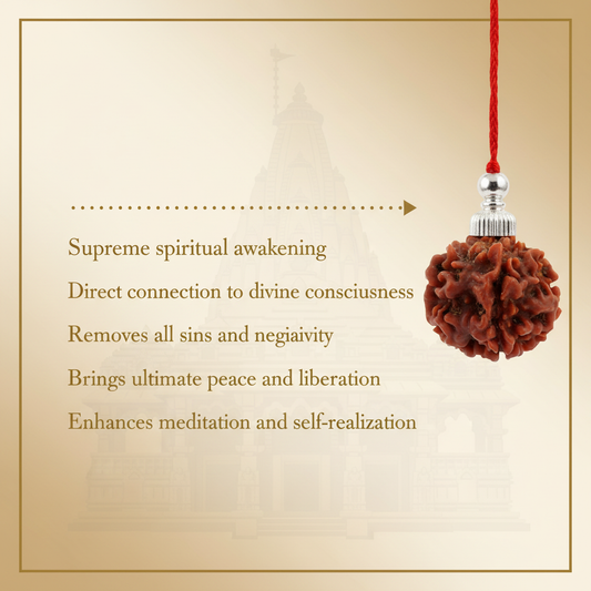Siddh 1 Mukhi Rudraksha Benefits
