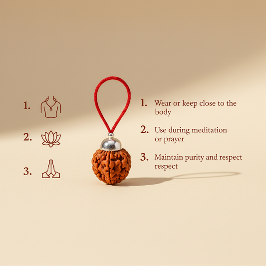 Siddh 2 Mukhi Rudraksha Usage Instructions