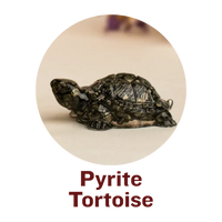 Pyrite Tortoise