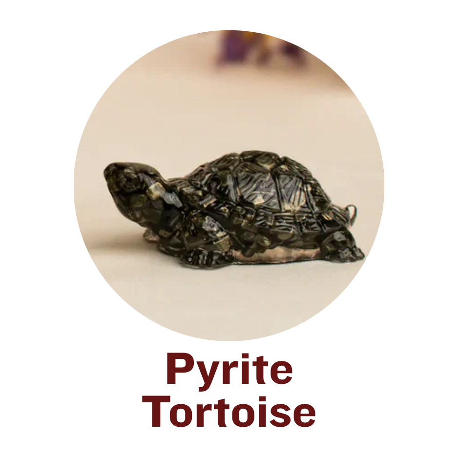 Pyrite Tortoise