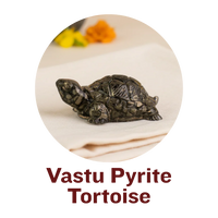 Vastu Pyrite Tortoise