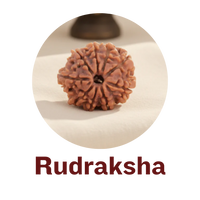Rudraksha