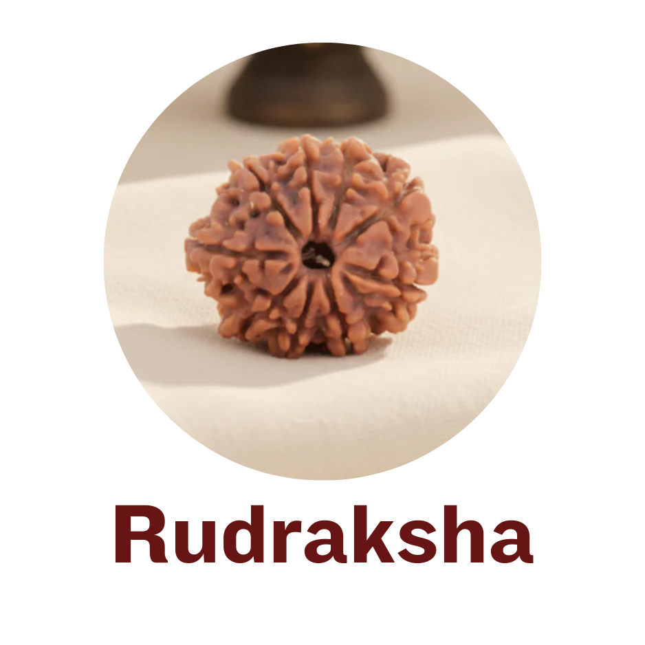 Rudraksha