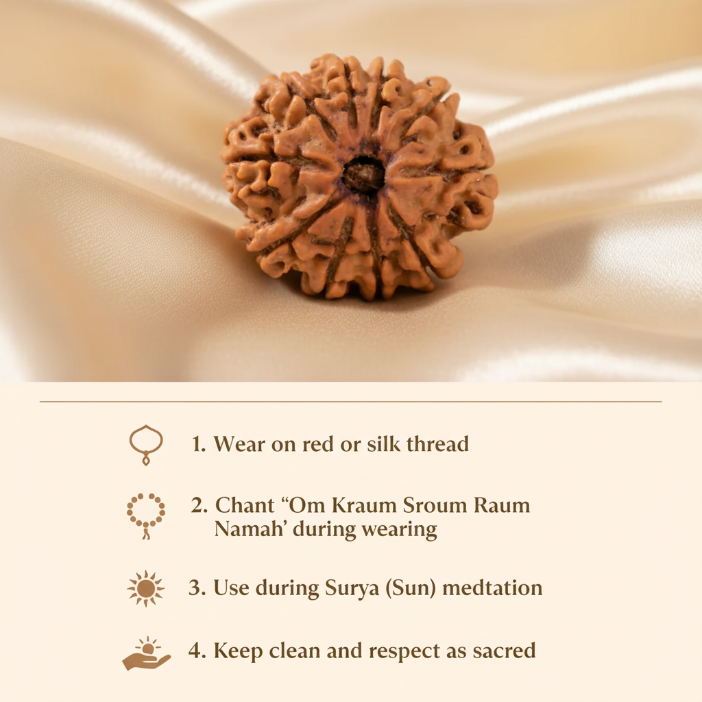 12 Mukhi Rudraksha Usage Instructions