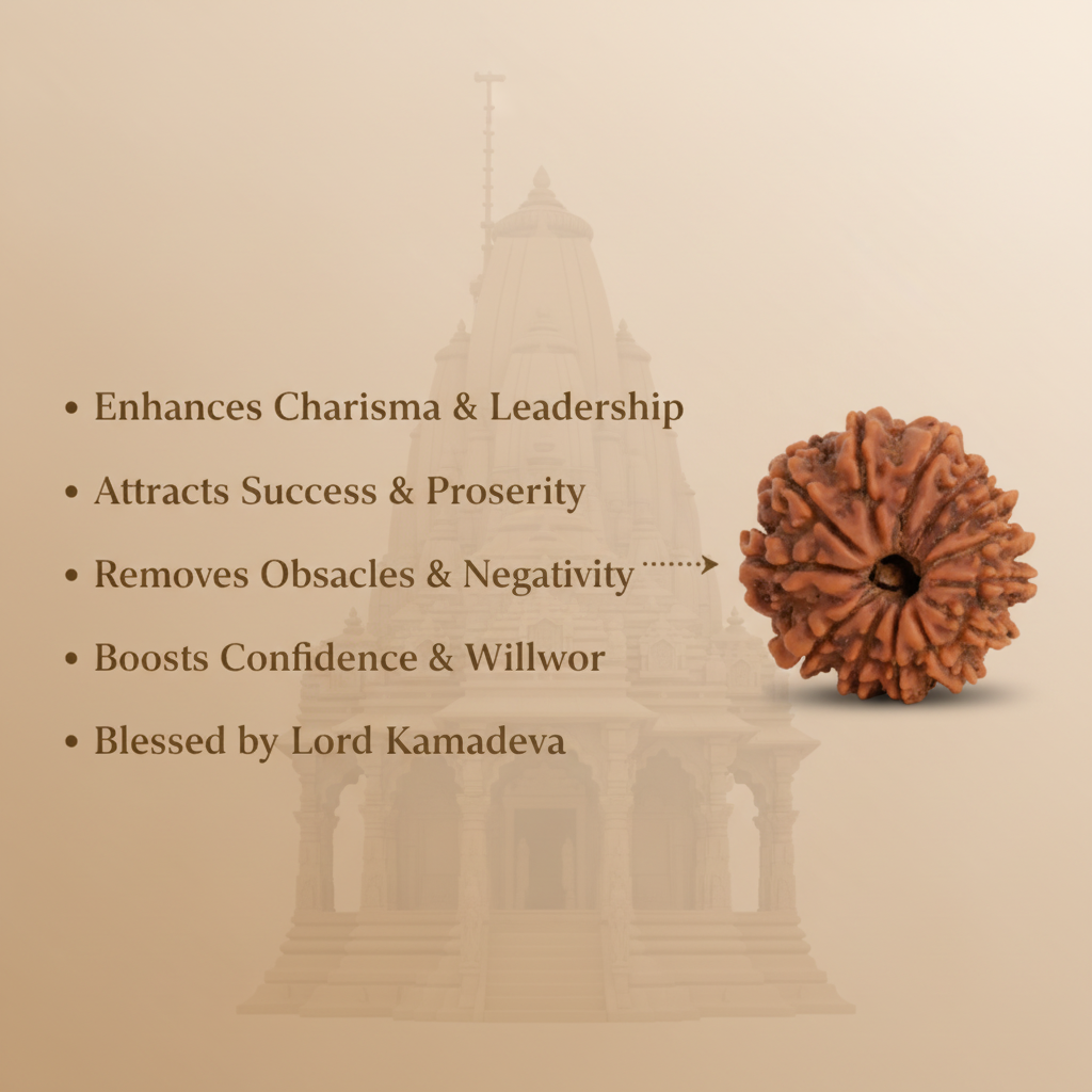 13 Mukhi Rudraksha Benefits