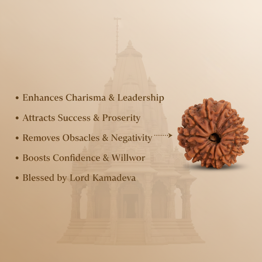 13 Mukhi Rudraksha Benefits