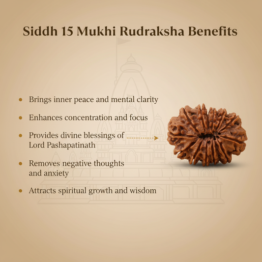 15 Mukhi Rudraksha Benefits