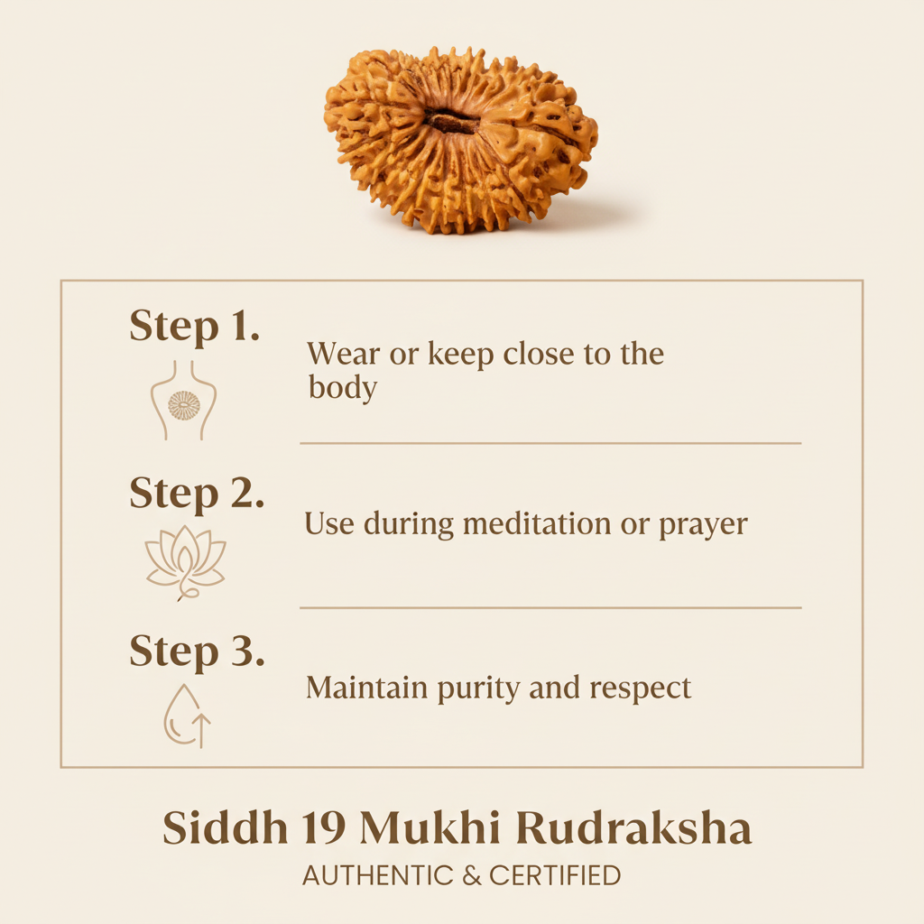 19 Mukhi Rudraksha How to Use
