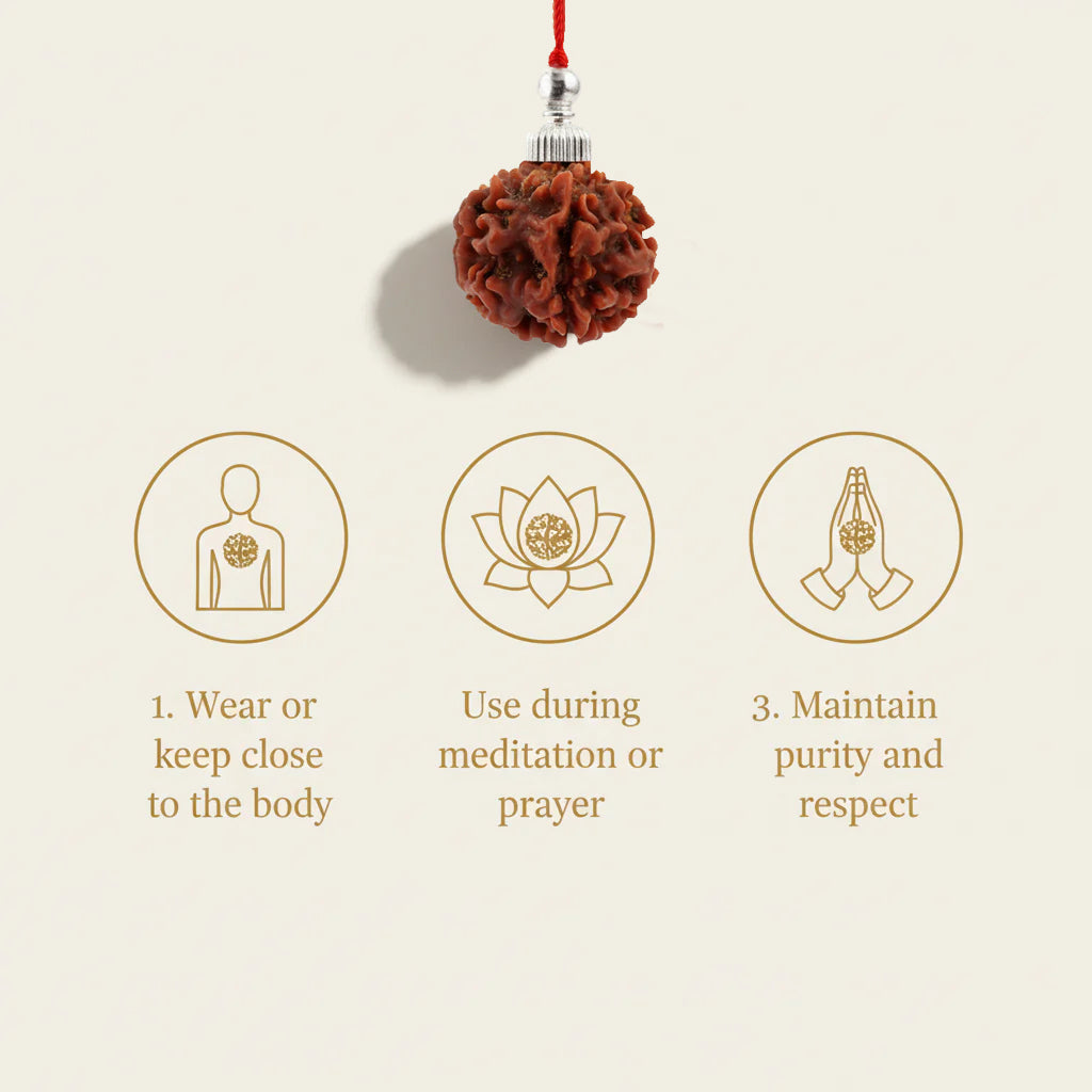 1 Mukhi siddhi Rudraksha with silver cap