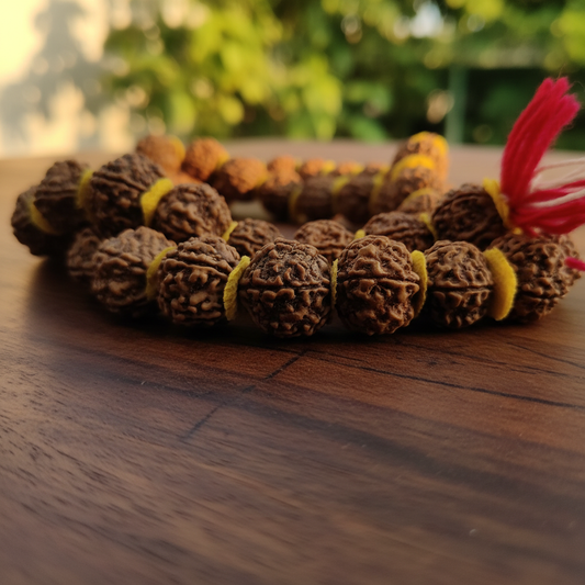 6 Mukhi Rudraksha Mala - Lifestyle 3