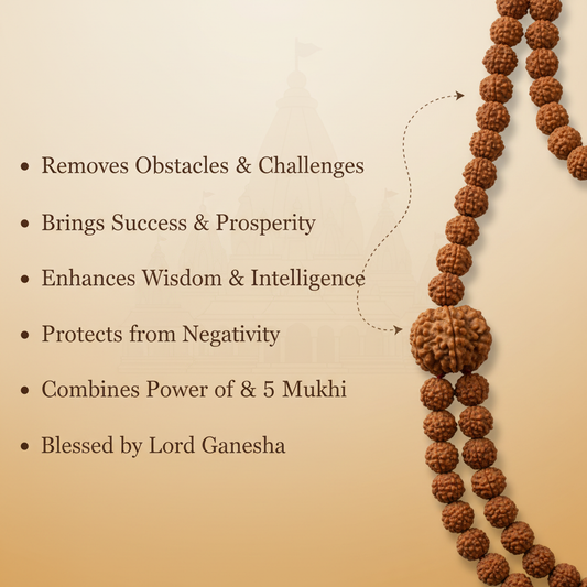 8 Mukhi in 5 Mukhi Mala Benefits