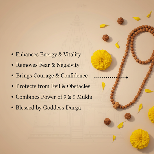9 Mukhi in 5 Mukhi Mala Benefits