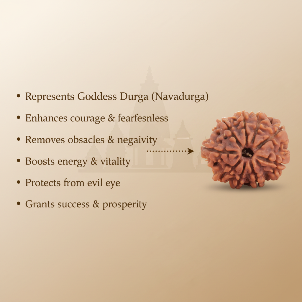 9 Mukhi Rudraksha Benefits
