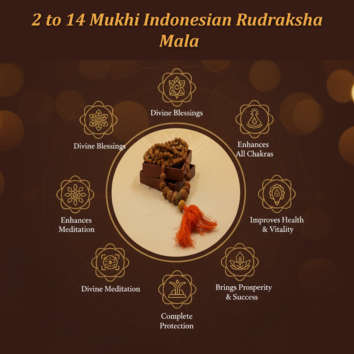 2 to 14 Mukhi Indonesian Rudraksha Mala
