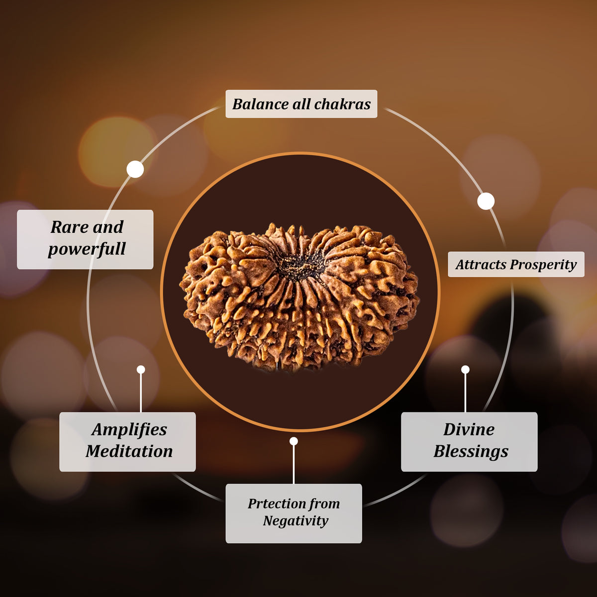 20 Mukhi Sidhi Rudraksha with silver cap