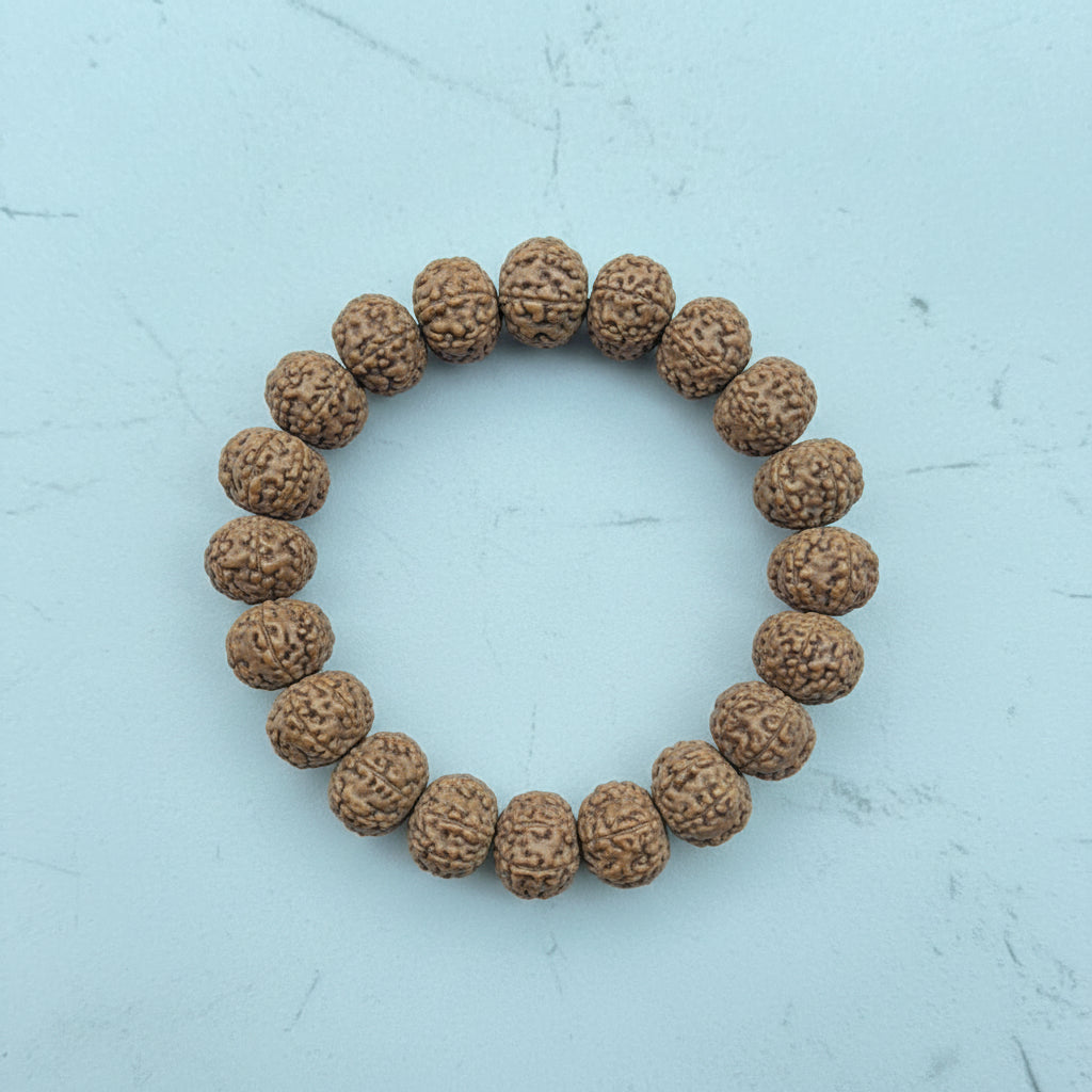 Natural 7 Mukhi Rudraksha Bracelet