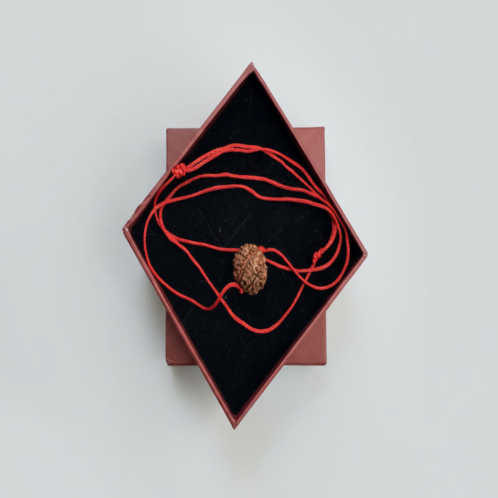 Single 7 Mukhi Rudraksha (Laal Dhaga)