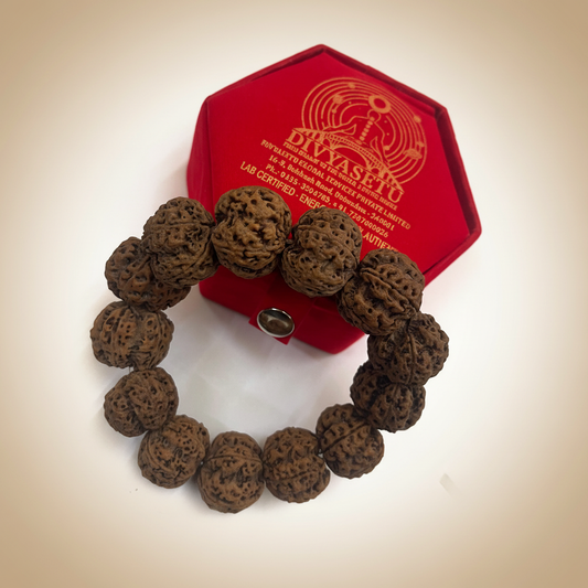 Enhanced Rudraksha Mala with Premium Background