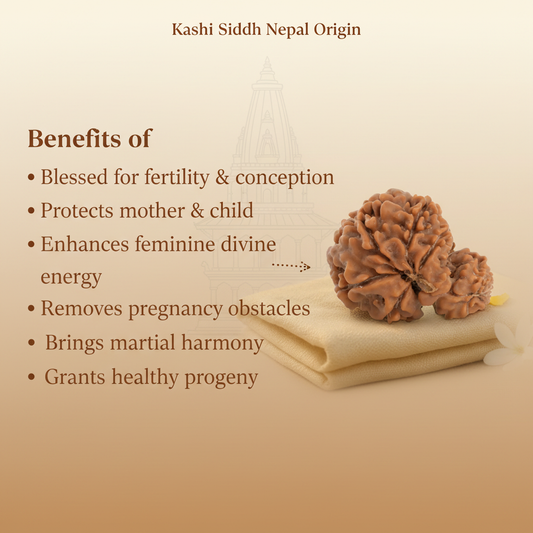 Garbh Gauri Rudraksha Benefits