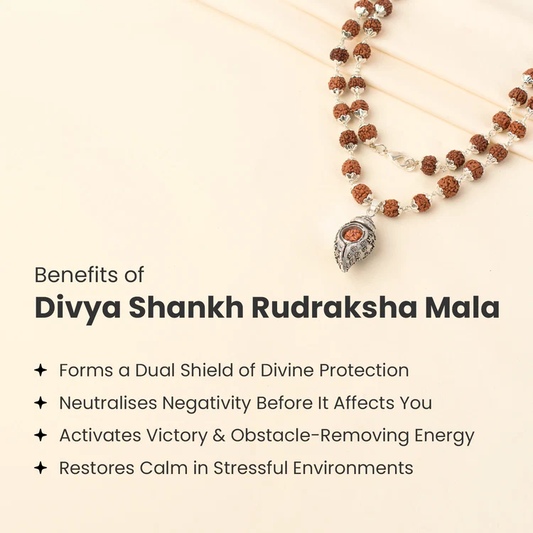 Divya Shankh Rudraksha Mala