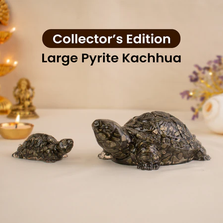 Collector's Edition Pyrite Tortoise (Kachhua) - Big Size - 8x heavier