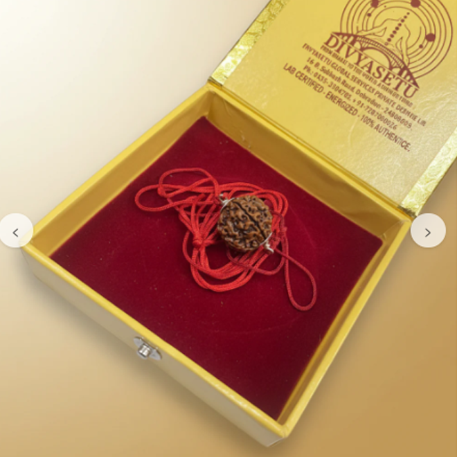 4 Mukhi Rudraksh with silver cap