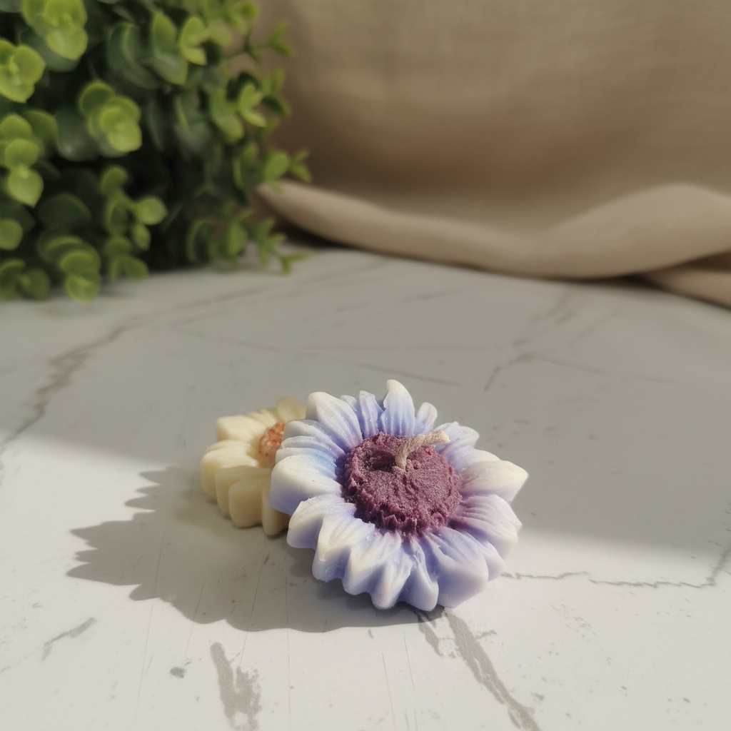 Lifestyle 1 – Top Down