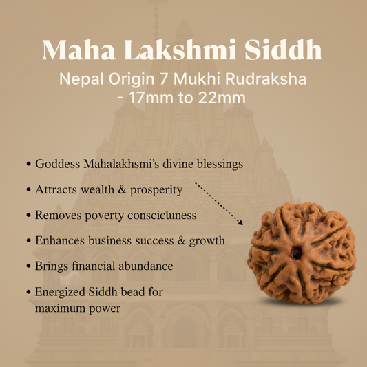 Maha Lakshmi Siddh 7 Mukhi Rudraksha Benefits