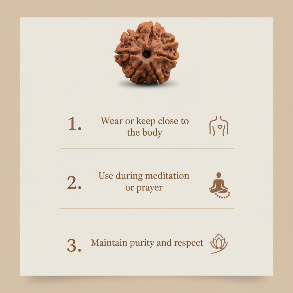 Nepal Origin 7 Mukhi Rudraksha How to Use