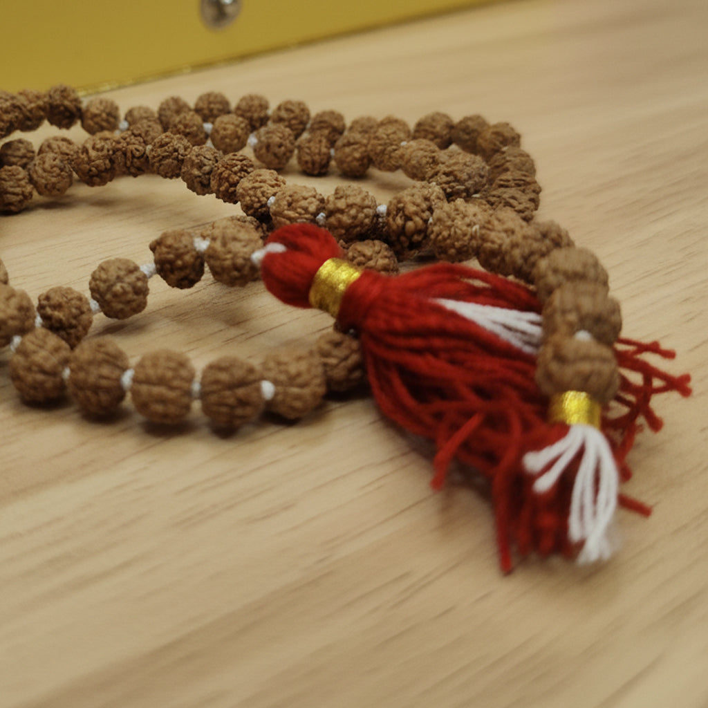 Premium Rudraksha Mala – 108 Beads