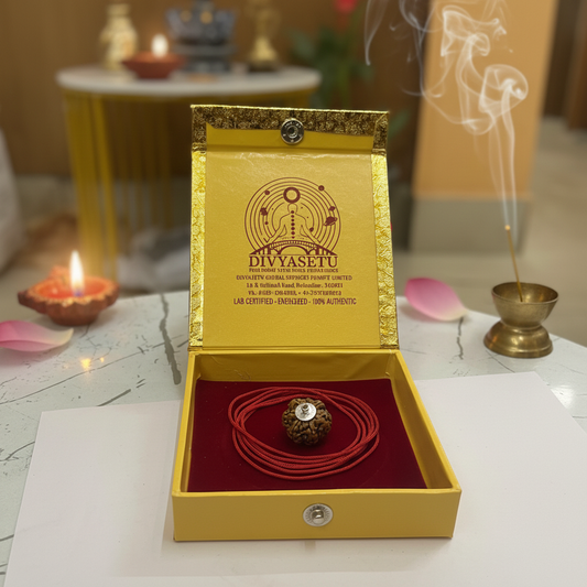 Rudraksha Pendant - Front Box View