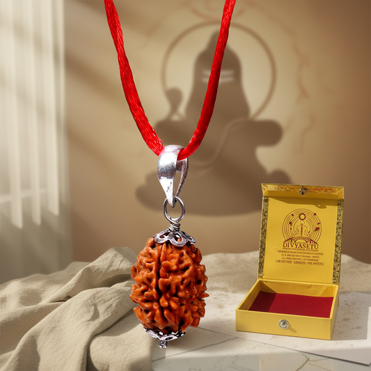 Siddh 3 Mukhi Rudraksha with Silver Hook Hero