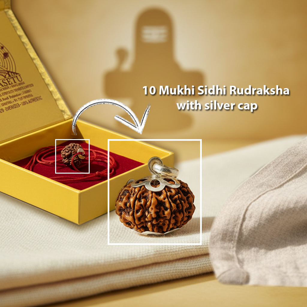 10 Mukhi Sidhi Rudraksha with silver cap